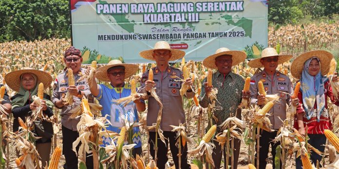 Polres Bintan Laksanakan Panen Raya Jagung Serentak Kuartal III Polres Bintan Laksanakan Panen Raya Jagung Serentak Kuartal III