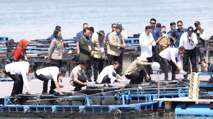 Kehadiran Wapres Gibran Semakin Memotivasi Masyarakat Pesisir Usaha Lobster Kehadiran Wapres Gibran Semakin Memotivasi Masyarakat Pesisir Usaha Lobster