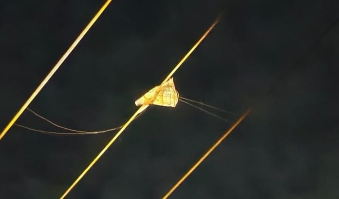 Listrik PLN Batam di Piayu Padam Akibat Layang-Layang dan Pohon Tumbang