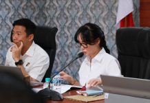 Li Claudia Ingatkan Setiap Bangun Drainase Wajib ada Kajian Teknis yang Matang Wawako Batam Li Claudia Chandra