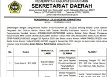 Berikut Daftar Calon Dewas dan Dirut Perumda Karimun Lulus Seleksi Administrasi