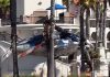 Viral Helikopter Didorong Anggin dan Jatuh di Huntington Beach California Huntington Beach, California