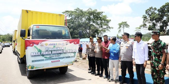 Komitmen Pemko Batam Wujudkan Swasembada Pangan Lewat Penanaman Jagung Serentak di Galang Komitmen Pemko Batam Wujudkan Swasembada Pangan Lewat Penanaman Jagung Serentak di Galang