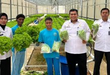 CV Sello Hijau Lestari Gandeng Rutan Batam Latih Warga Binaan Bertani Hidroponik CV Sello Hijau Lestari Gandeng Rutan Batam Latih Warga Binaan Bertani Hidroponik