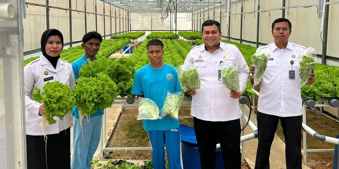 CV Sello Hijau Lestari Gandeng Rutan Batam Latih Warga Binaan Bertani Hidroponik