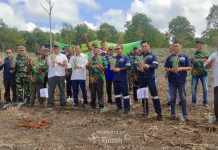 Tanam Puluhan Ribu Bibit Nanas di Kundur, PT Timah Gandeng Kelompok Bina Tani Tailon