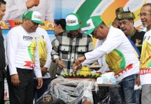 Rayakan HUT ke-26, Amsakar Achmad Sebut PERPAT Mitra Strategis Pemerintah Amsakar Achmad Sebut PERPAT Mitra Strategis Pemerintah