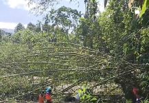 BPBD Pasaman Bersama Nagari AMS Bahu Membahu Bersihkan Batang Bambu Sungai Batang Mauh Lubuksikaping