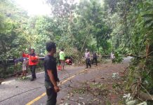 Waspada Cuaca Ekstrem, BPBD Pasaman, Imbau Pengendara jalan Lurah Berangin Hati-hati