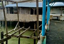 Pasar Sri Karimun Lapuk Dimakan Usia