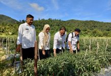Pongkar Perkuat Ketahanan Pangan Karimun, Pasokan Cabai dan Telur Melimpah