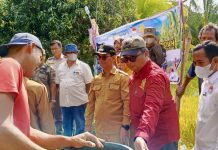 Langkah Strategis Ketahanan Pangan, Pemkab Karimun Hibahkan 3 Hektar Lahan ke Bulog