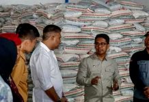 Distribusi Terkendala Transportasi, Bulog Cari Skema Pasok Beras Premium MBG Karimun Pendistribusian beras premium milik Perum Bulog untuk mendukung program Makanan Bergizi Gratis