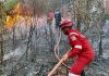 Karimun Darurat Karhutla, 67 Kasus Sebulan, Februari 7 Titik Terbakar Setiap Hari