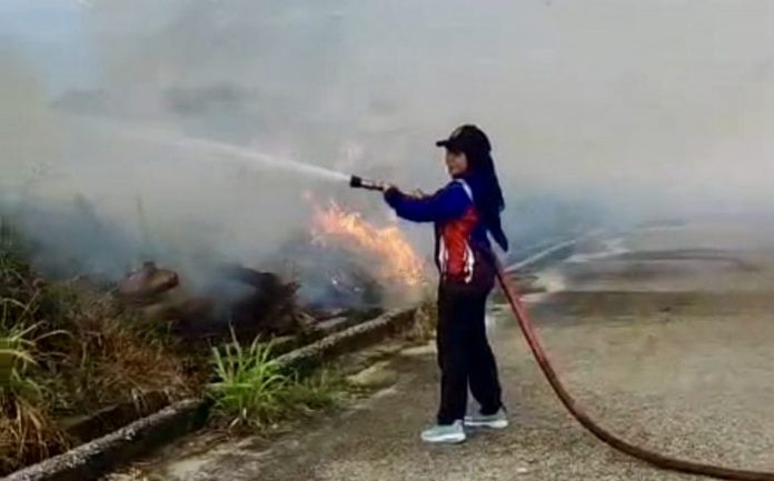 Berdasarkan data dari BPBD dan Dinas Pemadam Kebakaran Kabupaten Karimun, kebakaran terpantau terjadi di kawasan hutan lindung