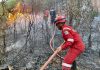 Dugaan Pembakaran Hutan Disengaja di Karimun Menguat, Polisi Diminta Bertindak Tegas Kebakaran hutan dan lahan yang belakangan marak terjadi di Kabupaten Karimun, kini diduga kuat bukan sekadar faktor alam, melainkan ada indikasi unsur kesengajaan yang mulai terkuak ke permukaan.(Foto: Junizar)