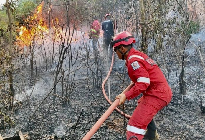 Kebakaran hutan dan lahan yang belakangan marak terjadi di Kabupaten Karimun, kini diduga kuat bukan sekadar faktor alam, melainkan ada indikasi unsur kesengajaan yang mulai terkuak ke permukaan.(Foto: Junizar)