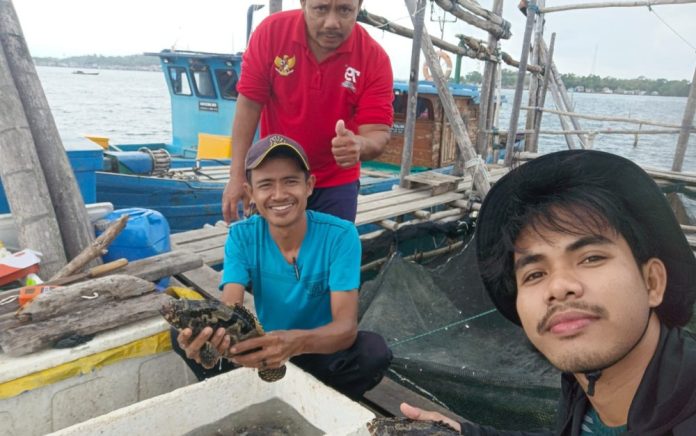 Panen Satu Ton Kerapu Cantang, Kelompok Laut Biru Desa Kelong Jadi Role Model Budidaya di Bintan