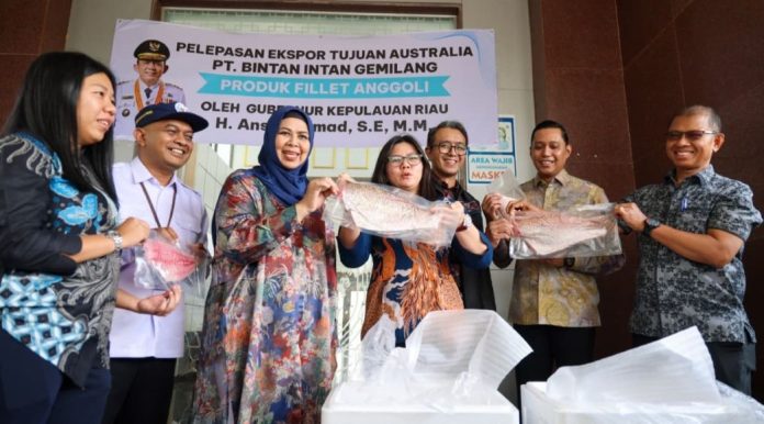 Pemprov Kepri Lepas Ekspor 759 Kg Fillet Ikan Anggoli Bintan ke Australia Pemprov Kepri Lepas Ekspor 759 Kg Fillet Ikan Anggoli Bintan ke Australia