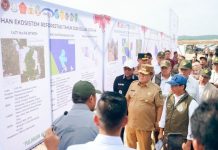 Pemprov Riau Targetkan Pemulihan Hutan di Tesso Nilo Seluas 66.704 Hektare Tahun 2028 Pemprov Riau Targetkan Pemulihan Hutan di Tesso Nilo Seluas 66.704 Hektare Tahun 2028