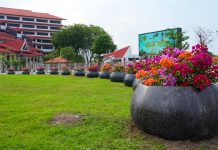 BP Batam Tegaskan Pengadaan Pot Bougenville dari Dana CSR Tidak Bebani Keuangan APBN BP Batam Tegaskan Pengadaan Pot Bougenville dari Dana CSR Tidak Bebani Keuangan APBN