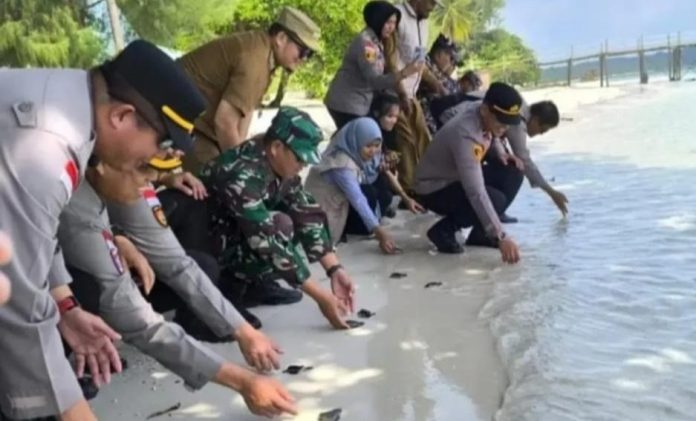 Camat Bintan Pesisir Edukasi Warga Lewat Pelepasan Ratusan Tukik di Desa Mapur