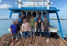 Ditpolairud Polda Kepri Gagalkan Penyelundupan 12 Ribu Batang Bakau Tujuan ke Singapura Ditpolairud Polda Kepri di perairan Pulau Panjang