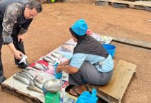 Hari Nelayan Nasional 2026, Grand Mercure Batam Centre Perkuat Kesejahteraan Nelayan Lokal Hari Nelayan Nasional 2026, Grand Mercure Batam Centre Perkuat Kesejahteraan Nelayan Lokal