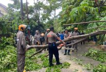 Respons Cepat Brimob Polda Kepri Evakuasi Pohon Tumbang di Sagulung Respons Cepat Brimob Polda Kepri Evakuasi Pohon Tumbang di Sagulung