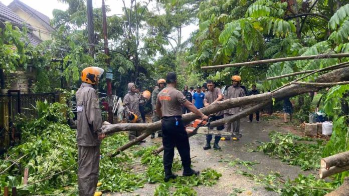Respons Cepat Brimob Polda Kepri Evakuasi Pohon Tumbang di Sagulung
