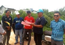 Lahan Mangrove di Sungai Pasir Jadi Sorotan, Camat Turun Tangan Langsung