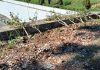BP Batam Kecam Tindakan Vandalisme ke Puluhan Tanaman Bugenvil BP Batam Kecam Tindakan Vandalisme ke Puluhan Tanaman Bugenvil