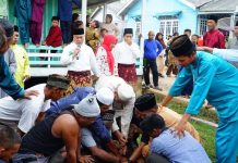 Bupati Nizar Salat Idul Adha di Dusun Senempek, Serahkan Sapi Kurban untuk Warga Bupati Nizar Salat Idul Adha di Dusun Senempek, Serahkan Sapi Kurban untuk Warga