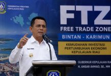 FTZ Menyeluruh Karimun dan Bintan, Gubernur Ansar: Bisa Meyakinkan Kementerian Keuangan