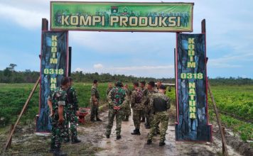 Jadi Percontohan, Pangkogabwilhan I Kunto Arief Tinjau Kompi Produksi Kodim Natuna Jadi Percontohan, Pangkogabwilhan I Kunto Arief Tinjau Kompi Produksi Kodim Natuna