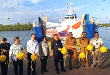 Provinsi Kepri Jadi Satu-satunya Pengekspor Ayam Hidup ke Singapura, Ribuan Ekor Tembus Pasar Internasional Kepri Jadi Satu-satunya Provinsi Pengekspor Ayam Hidup ke Singapura