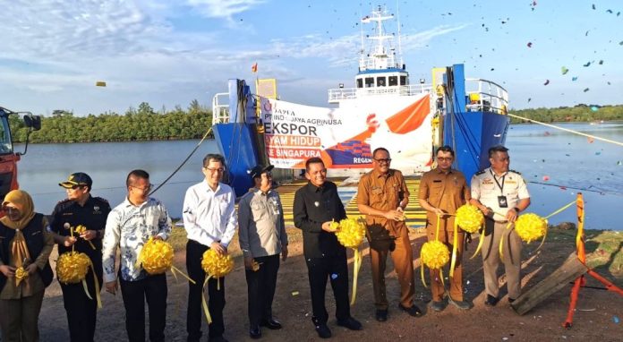 Kepri Jadi Satu-satunya Provinsi Pengekspor Ayam Hidup ke Singapura