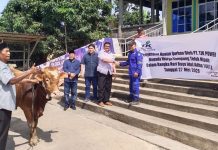 Konsisten Dukung Masyarakat Pulau, TJK Power Salurkan Hewan Kurban Idul Adha 2026 Konsisten Dukung Masyarakat Pulau, TJK Power Salurkan Hewan Kurban Idul Adha 2026