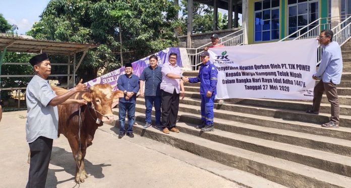 Konsisten Dukung Masyarakat Pulau, TJK Power Salurkan Hewan Kurban Idul Adha 2026