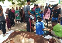 PSN Wiraraja GESEIP Kembali Salurkan Sapi Kurban Jumbo Untuk Warga Galang Batam PSN Wiraraja GESEIP Kembali Salurkan Sapi Kurban