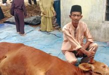 Pangkogabwilhan I Salurkan Sapi Kurban 500 Kg untuk Nelayan Tanjungpinang Pangkogabwilhan I Salurkan Sapi Kurban 500 Kg untuk Nelayan Tanjungpinang