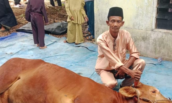 Pangkogabwilhan I Salurkan Sapi Kurban 500 Kg untuk Nelayan Tanjungpinang Pangkogabwilhan I Salurkan Sapi Kurban 500 Kg untuk Nelayan Tanjungpinang