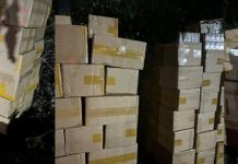 Bea Cukai Batam Gagalkan Penyelundupan Rokok Ilegal, Senjata Api hingga Vape Selama April 2026 Bea Cukai Batam Gagalkan Penyelundupan Rokok Ilegal, Senjata Api hingga Vape Etomidate Selama April 2026