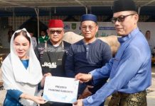 Serahkan Sapi Kurban Presiden, Li Claudia Kobarkan Semangat Berbagi di Batam Sapi Presiden Republik Indonesia