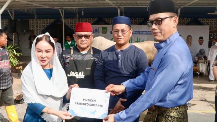 Sapi Presiden Republik Indonesia Sapi Presiden Republik Indonesia