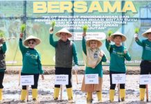 Sekda Ronny Kartika Pimpin Tanam Bersama, Optimistis Pertanian Bintan Kian Maju Sekda Ronny Kartika Pimpin Tanam Bersama, Optimistis Pertanian Bintan Kian Maju