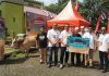 Telkomsel Area Sumatera Salurkan 10 Sapi dan 100 Kambing Kurban Iduladha 1447 H Telkomsel Area Sumatera Salurkan 10 Sapi dan 100 Kambing Kurban Iduladha 1447 H