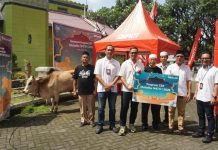 Telkomsel Area Sumatera Salurkan 10 Sapi dan 100 Kambing Kurban Iduladha 1447 H Telkomsel Area Sumatera Salurkan 10 Sapi dan 100 Kambing Kurban Iduladha 1447 H