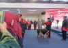 Wali Kota Lis Darmansyah Lantik 6 PNS dan Pejabat Fungsional Wali Kota Lis Darmansyah Lantik 6 PNS dan Pejabat Fungsional