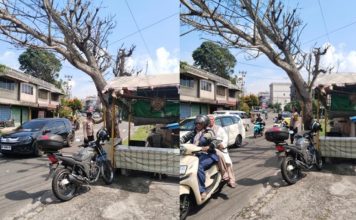 Cegah Pohon Tumbang, Polisi Patroli di Jalan MT Haryono Tanjungpinang Cegah Pohon Tumbang di Tanjungpinang